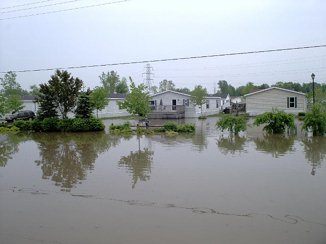 Picture 423.jpg